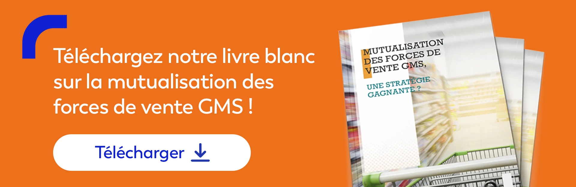 Livre blanc externalisation commerciale