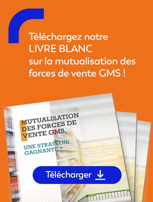Livre blanc externalisation commerciale