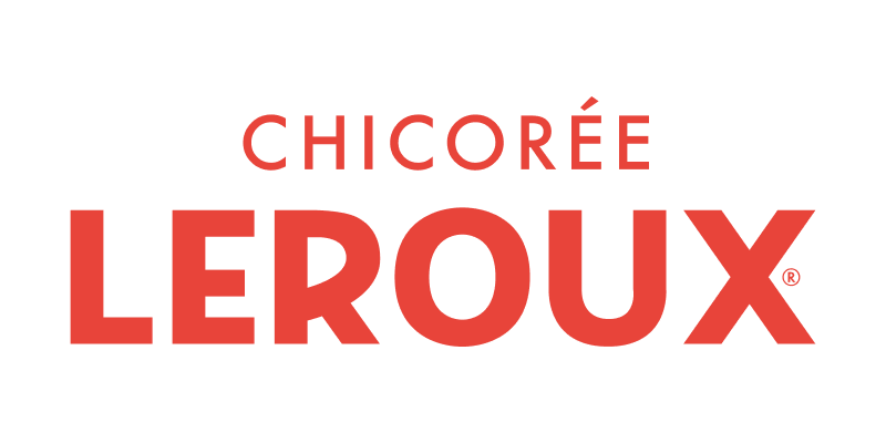 chicorée leroux